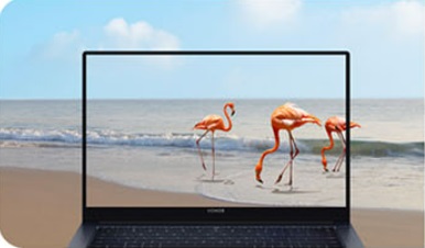 MagicBook_X_14_4_