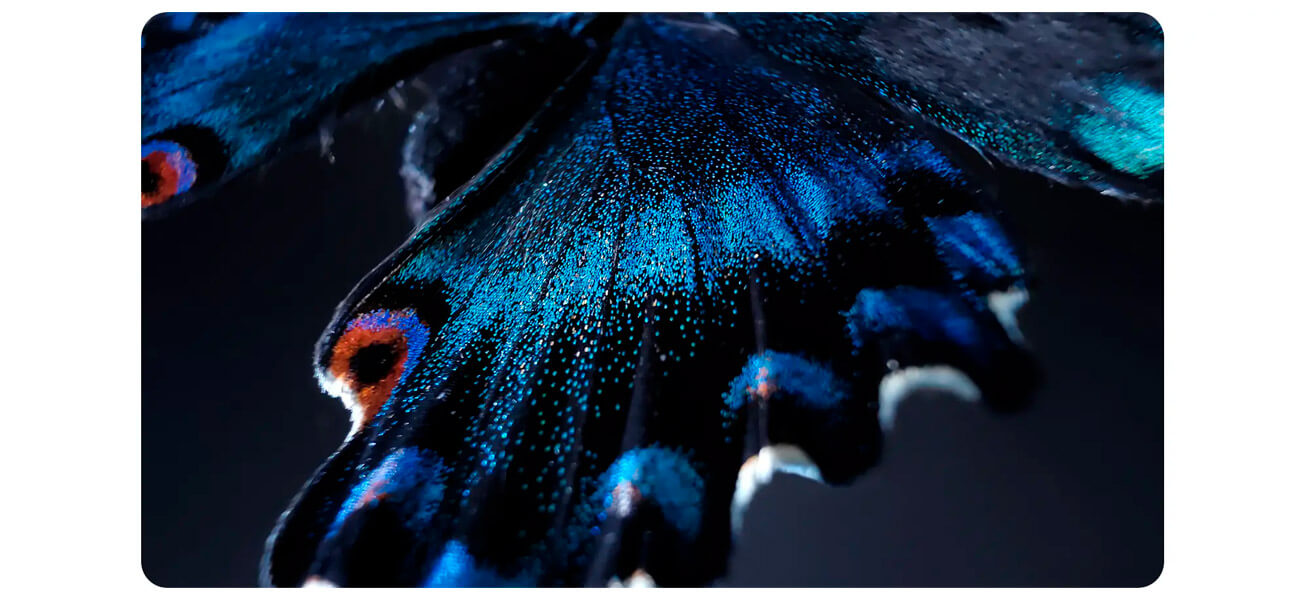 m4p-macro