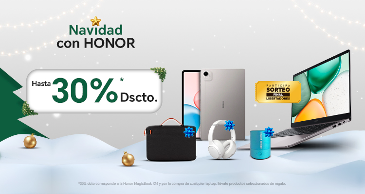 Piezas_Adicionales_Honor_Navidad_Computo_Desktop_1