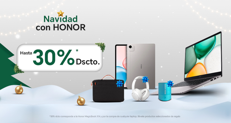 Piezas_Adicionales_Honor_Navidad_Computo_Desktop_3